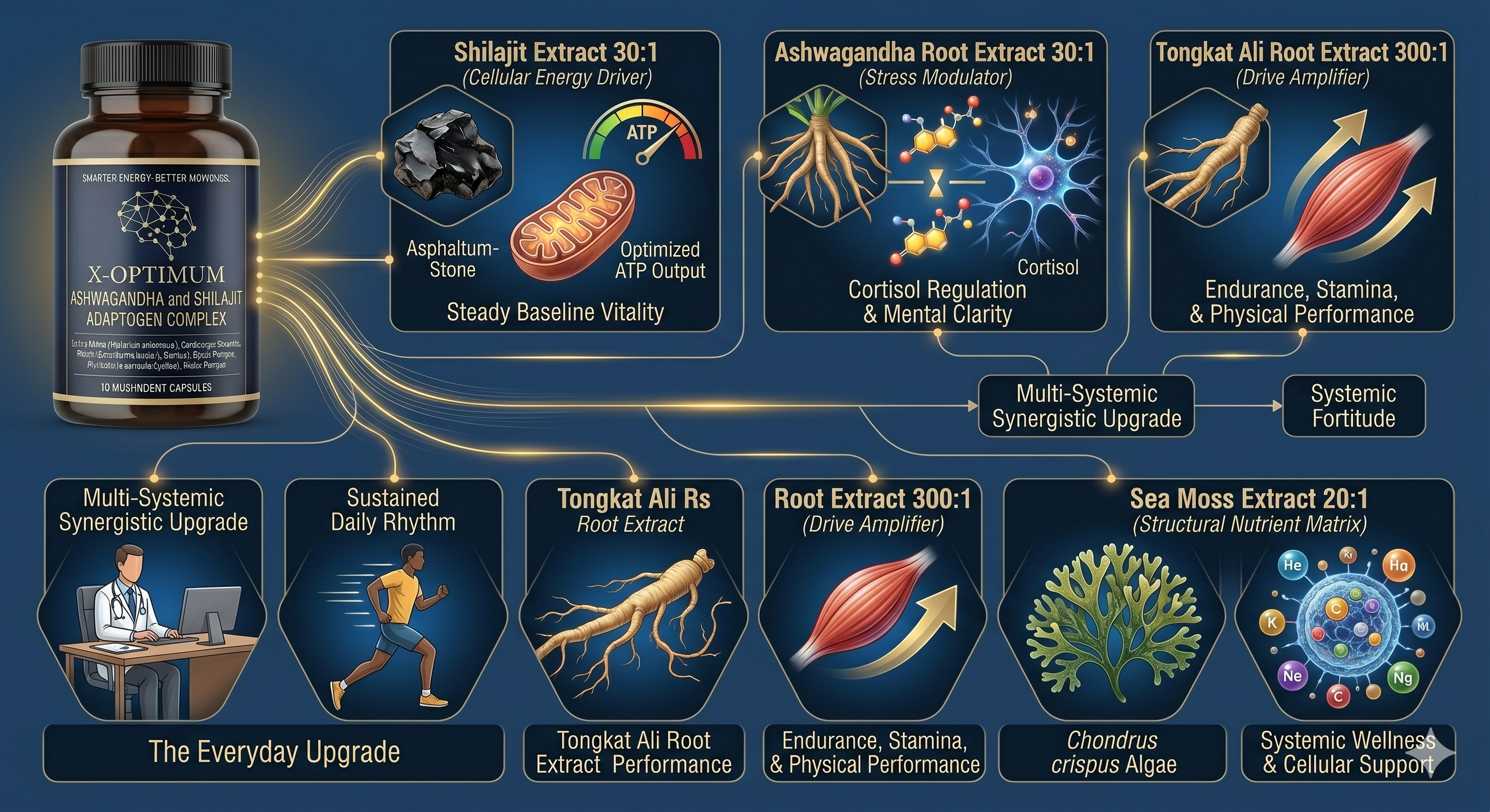 The Biological Baseline: Why You Need a Targeted Adaptogen Protocol for Sustained Output