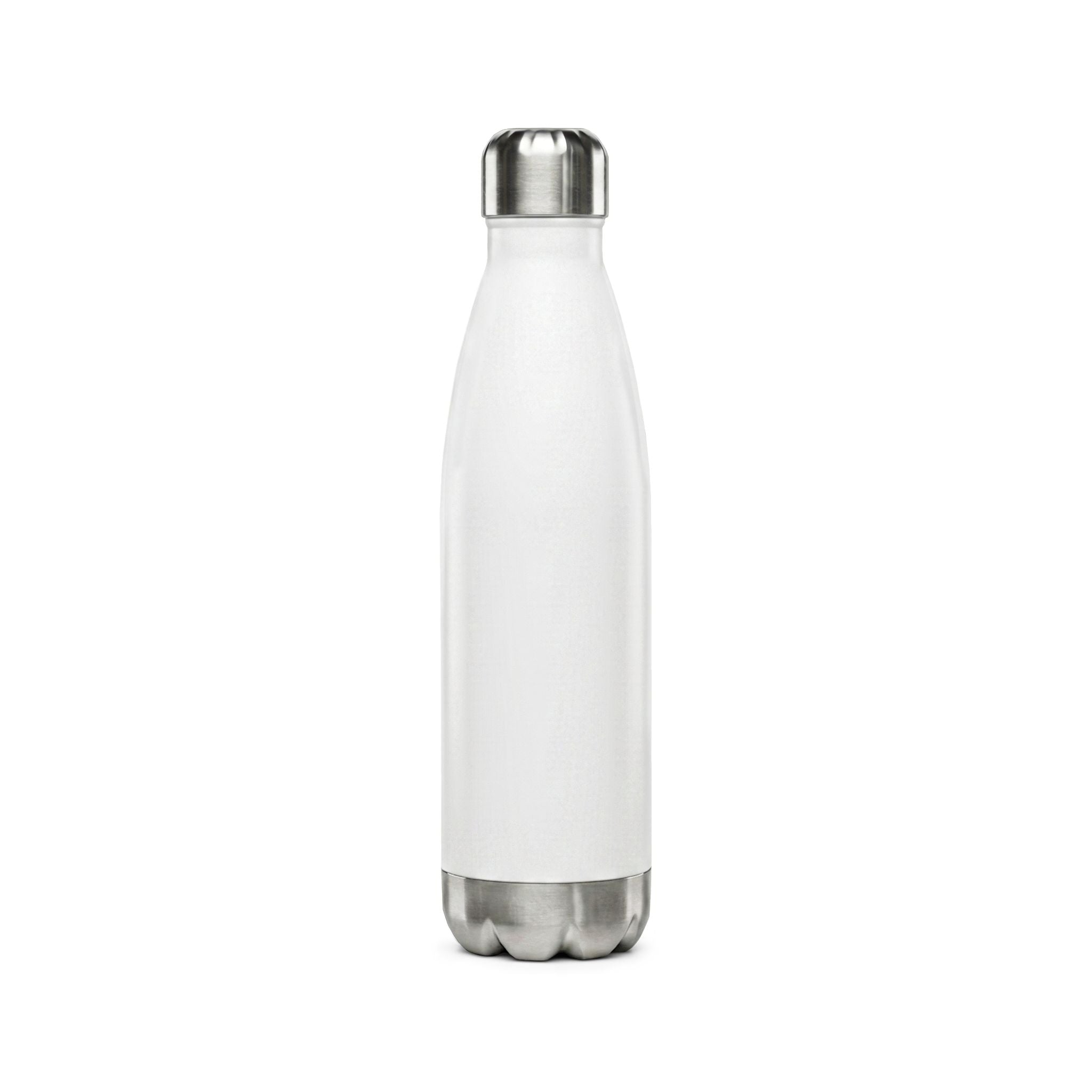 Stainless Steel Travel Water Bottle, 17oz.
